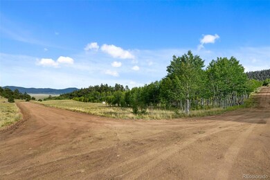 54 Lancelot Ln unit 10 & 11, Hartsel, CO 80449 - photo 4
