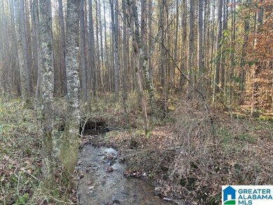 0 Lambert Rd unit 56 Ac 21376944, Cragford, AL 36255 - photo 5