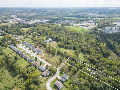 2-web-or-mls-1514 w parkview ave ozarkjp