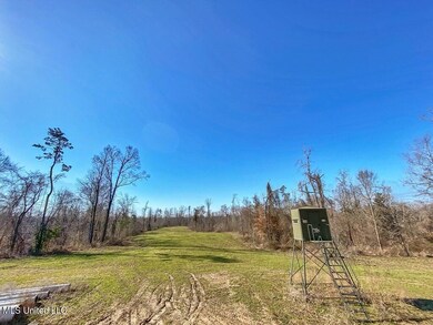 1002 Travelers Rest, Lorman, MS 39096 - photo 7