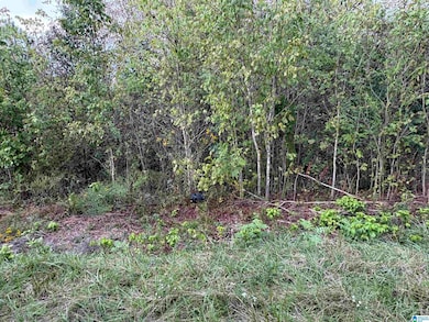 0 Lost Creek Cir, Remlap, AL 35133 - photo 3