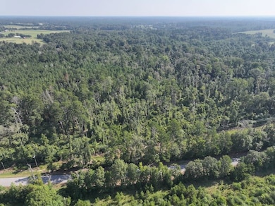 0 Hwy 1045 Hwy unit LotWP003 24553811, Amite, LA 70422 - photo 7