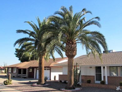 Two large palm trees