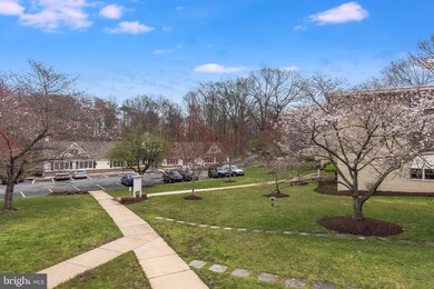 1002 Primrose Rd, Annapolis, MD 21403 - photo 6