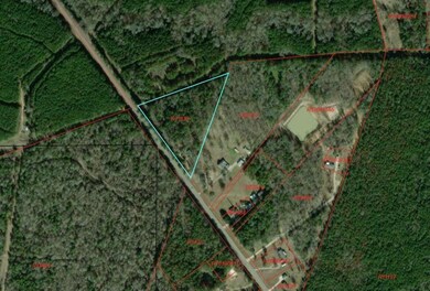 15981 Fm 31, Marshall, TX 75672 - photo 4