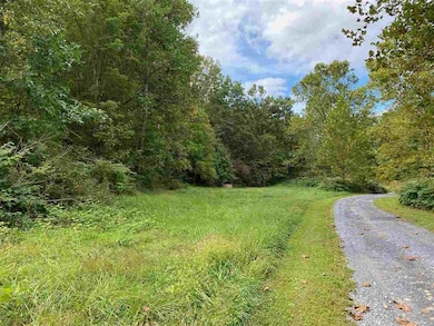 0 Hollow Run Rd, Luray, VA 22835 - photo 7