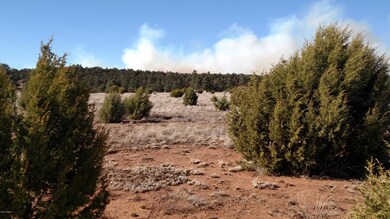 006B Field, Overgaard, AZ 85933 - photo 3