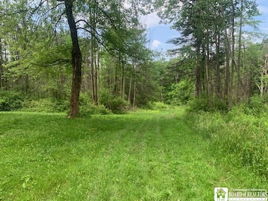 905 Waterman Rd, Kennedy, NY 14747 - photo 7