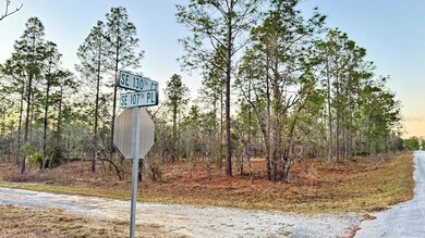 00 SE 130th Ct, Dunnellon, FL 34431 - photo 2