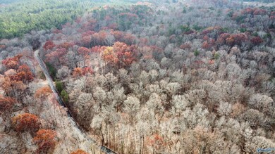 3 County Road 137 unit 504549, Cedar Bluff, AL 35959 - photo 3