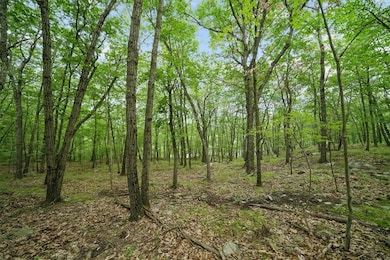 0 Stag Hill Rd unit KEY894287, Monroe, NY 10950 - photo 7