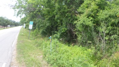 FM 521 at CR 461 Fm 521 Rd, Brazoria, TX 77422 - photo 2