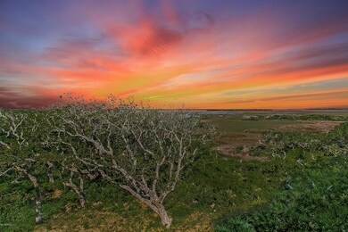 View at Sunset
