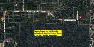 Aerial 3 (Red Plumb Ln)