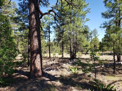 361 N Silverleaf