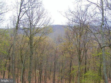 217 Summerwood Dr, Mathias, WV 26812 - photo 6