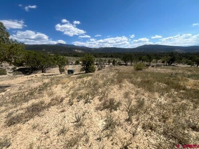 TBD Buckhorn Rd, Montrose, CO 81403 - photo 7
