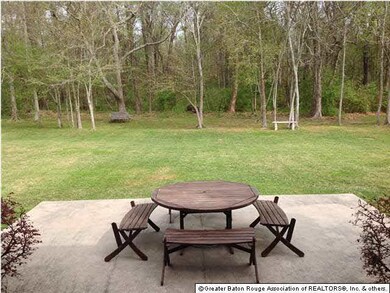 Park like setting in back yard