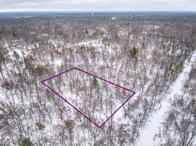 V/L W Bristol St, Webber Township, MI 49304 - photo 2