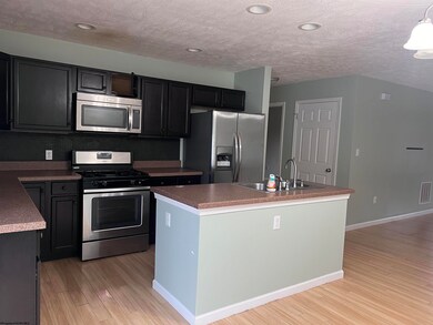 165 Mikayla St, Reedsville, WV 26547 - photo 3