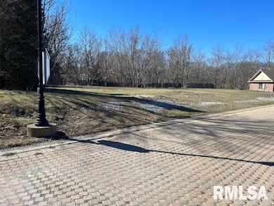 238 12th Ave, Moline, IL 61265 - photo 2