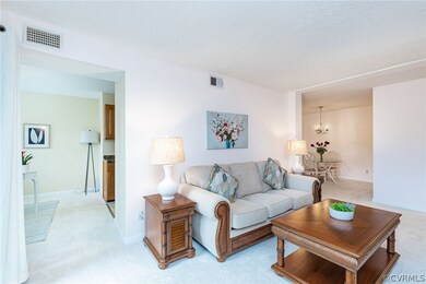 1505 Largo Rd unit 204, Henrico, VA 23238 - photo 3