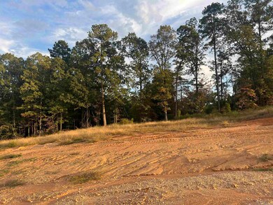 Lot 91 Harmony Village Dr, Haskell, AR 72015 - photo 5