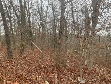 0 Dolly Cir unit 1177502, Bella Vista, AR 72715 - photo 2