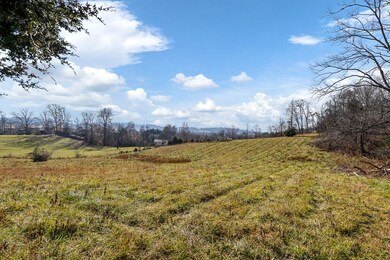 Tbd Birds Eye View, Jonesborough, TN 37659 - photo 7