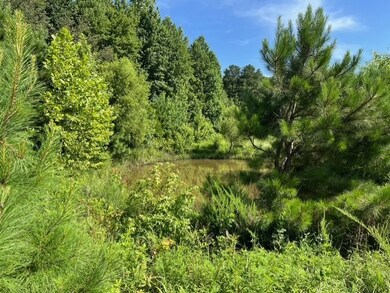 0 Ephesus Church Rd unit RTC2982194, Huntingdon, TN 38342 - photo 3