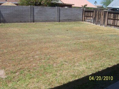 Back Yard