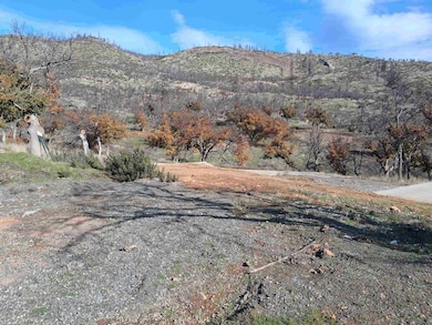 829 Oak Knoll Rd, Horse Creek, CA 96050 - photo 5