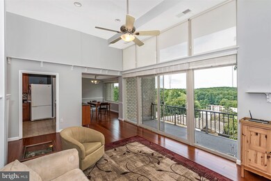 14624 Bauer Dr unit 8, Rockville, MD 20853 - photo 6