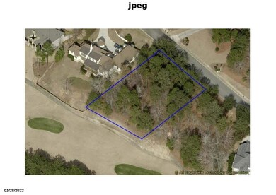 543 W Pleasant Colony Dr unit Lot 290, Aiken, SC 29803 - photo 5