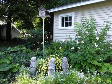 Back yard 1