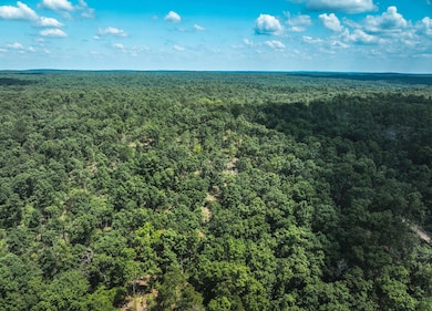 0 Highway B unit 11555606, Ellington, MO 63638 - photo 7