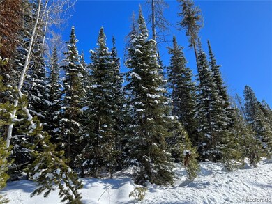Plentiful evergreen trees