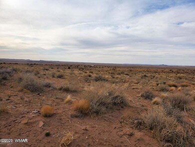 8181 Uttecht Trail, Snowflake, AZ 85937 - photo 5