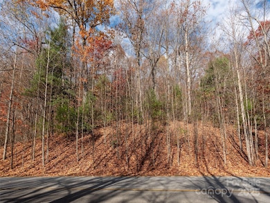 128 Pinnacle Peak Ln, Flat Rock, NC 28731 - photo 6