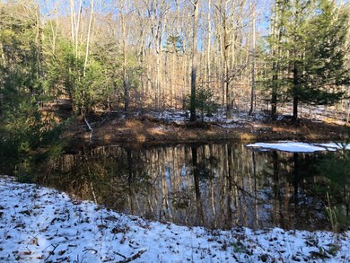 Bald Pond 2