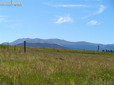 33 Grandview Cir, Divide, CO 80814 - photo 5