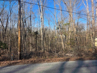 L-4 B-4 Powhatan Dr, Cherokee Village, AR 72529 - photo 2