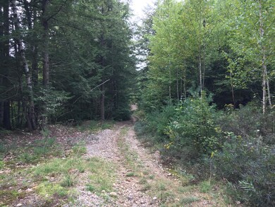 47acres New Dam Rd, Limerick, ME 04048 - photo 7