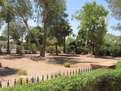 Front yard from porch