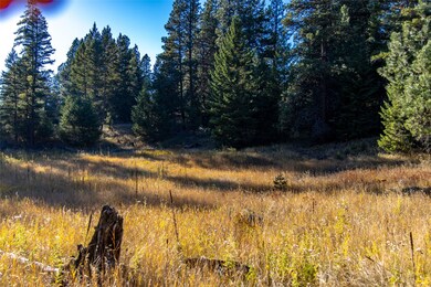 175 High Rd, Kalispell, MT 59901 - photo 5