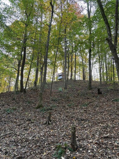 View of undeveloped land