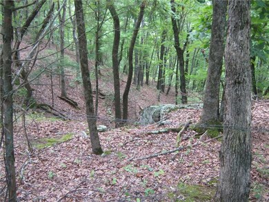 17039 Bethlehem Rd, Winslow, AR 72959 - photo 6