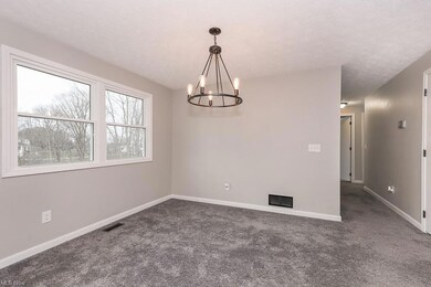 9197 Olga St, Streetsboro, OH 44241 - photo 6