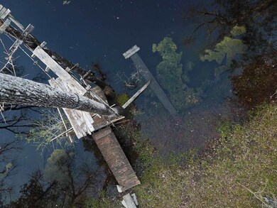 0 Harley Davidson Ln unit 304344, Crawfordville, FL 32327 - photo 3