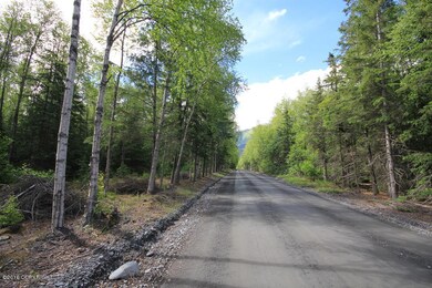 L9 Lyle Cir, Hope, AK 99605 - photo 3